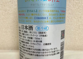 alt 3
