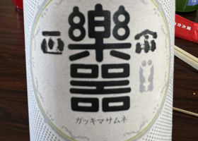 alt 1