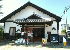 alt 3