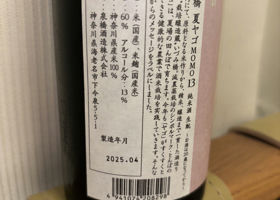 alt 3