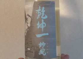 alt 1