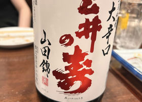 alt 1