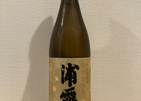 alt 1