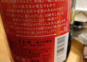 alt 3