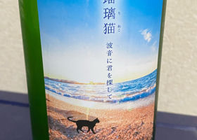 瑠璃猫〜波音に君を探して〜 チェックイン 1
