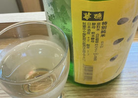 alt 3
