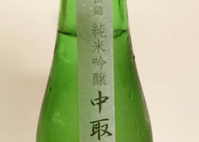 alt 3
