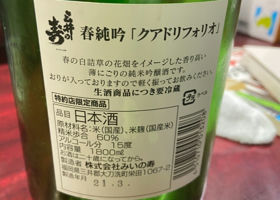 alt 2