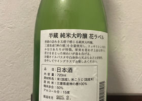alt 2