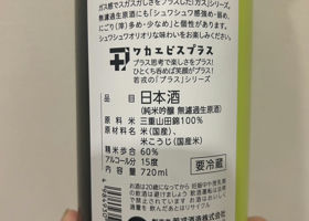 alt 2