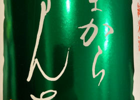alt 1