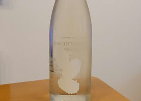 alt 1