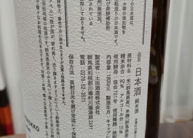 alt 3