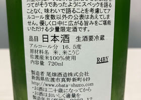 alt 3