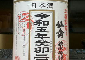 alt 1
