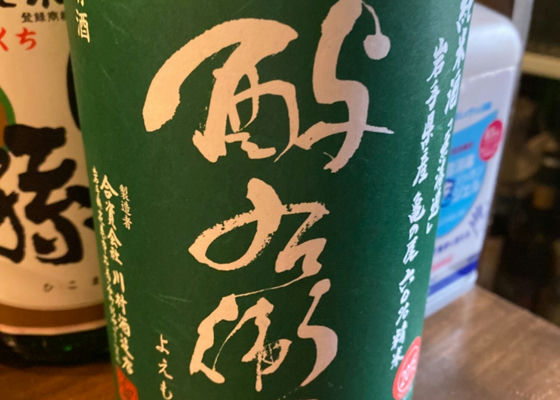 alt 1