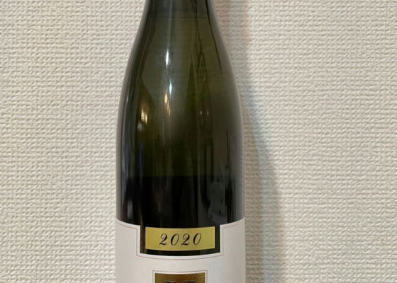 alt 1