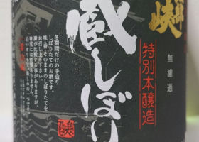 alt 1
