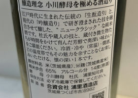 alt 3