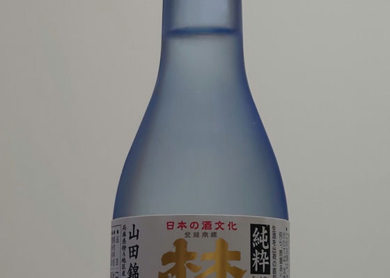 alt 1