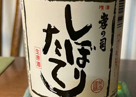 alt 1
