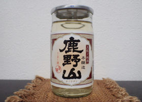 alt 1