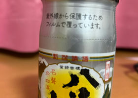 alt 1