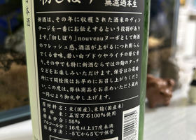 alt 3