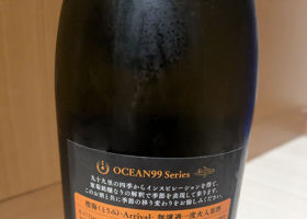 OCEAN99 チェックイン 2