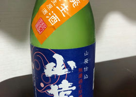 alt 1