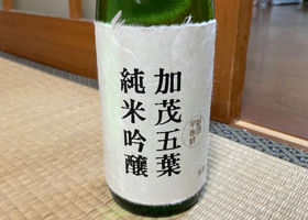 alt 1