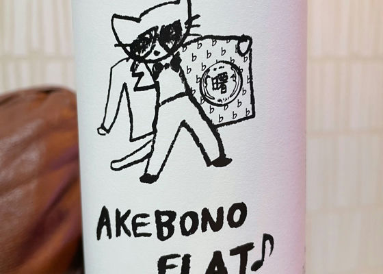 alt 1