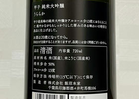 alt 2