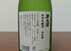 alt 3
