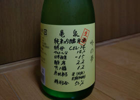 alt 1