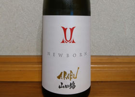 alt 1