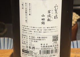 alt 3