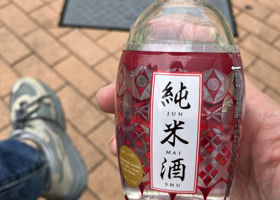 alt 1