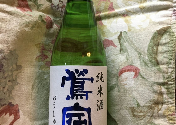 alt 1