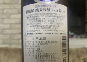 alt 2