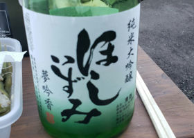alt 3