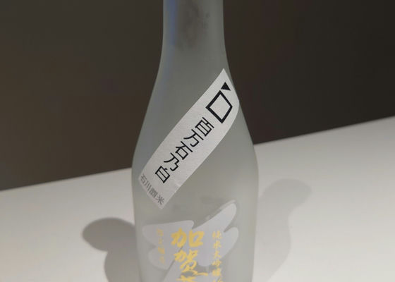 alt 1