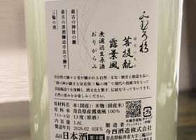alt 3