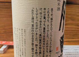 alt 3