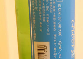 alt 3