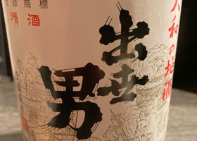 alt 1