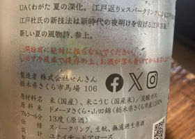 alt 3