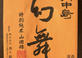 alt 3