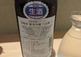 alt 3