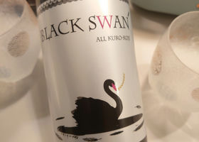 BLACK SWAN Check-in 1